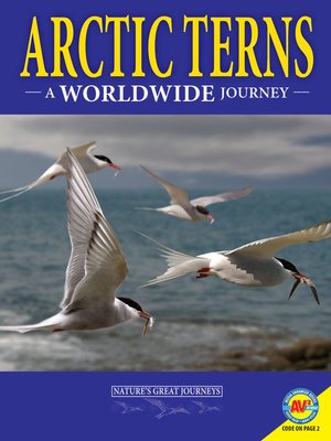 cover image of Arctic Terns